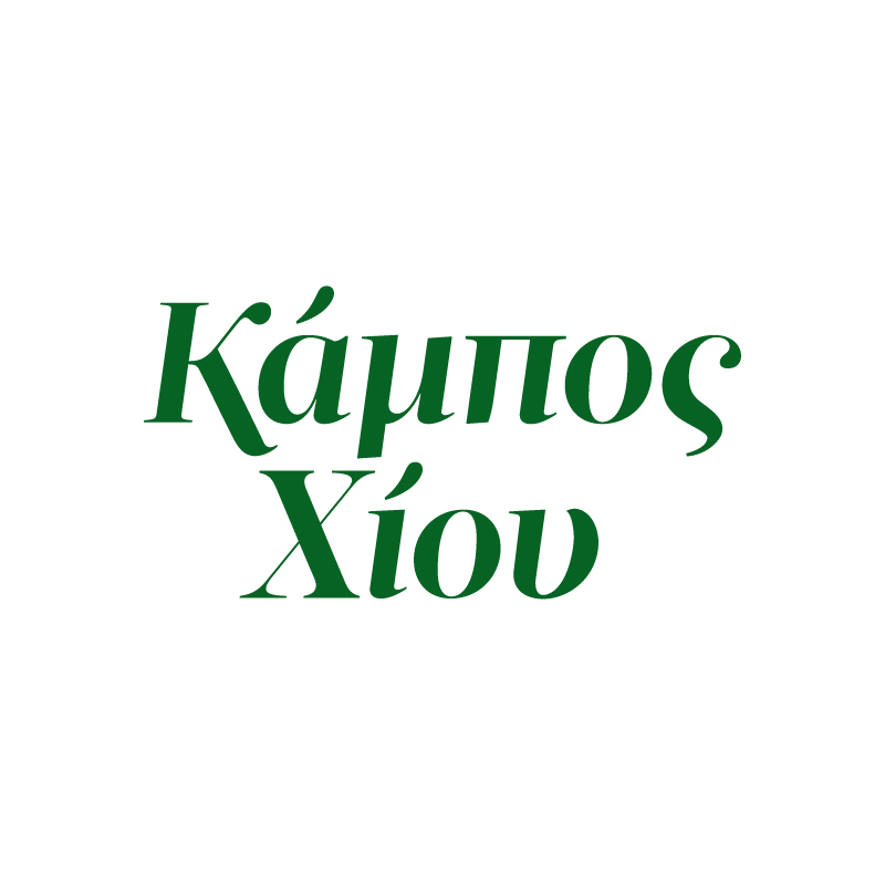 ΒΑΣΙΚΟΣ ΧΟΡΗΓΟΣ